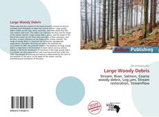 Copertina di Large Woody Debris