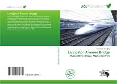 Bookcover of Livingston Avenue Bridge