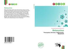 Bookcover of Betasuchus