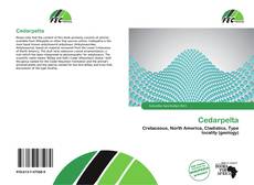 Capa do livro de Cedarpelta 