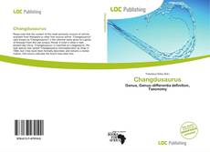 Bookcover of Changdusaurus