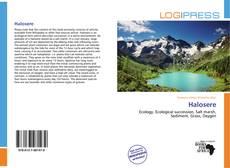 Обложка Halosere