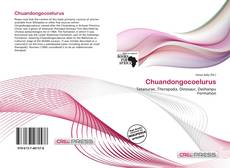 Couverture de Chuandongocoelurus