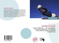 Copertina di Leontin Grozavu