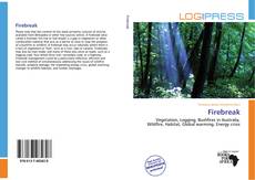 Couverture de Firebreak