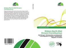 Kildare North (Dáil Éireann Constituency) kitap kapağı