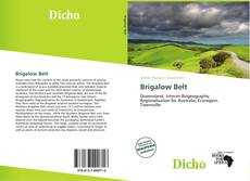 Обложка Brigalow Belt