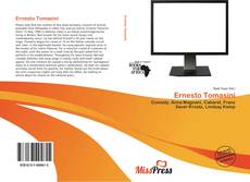 Couverture de Ernesto Tomasini