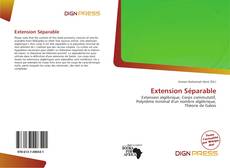 Extension Séparable kitap kapağı