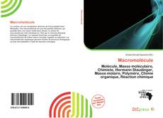 Portada del libro de Macromolécule