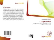 Capa do livro de Scaphandrier 