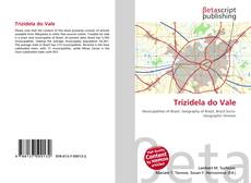 Copertina di Trizidela do Vale