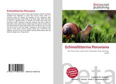 Copertina di Echinolittorina Peruviana