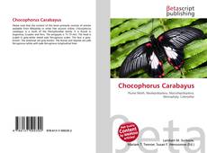 Capa do livro de Chocophorus Carabayus 