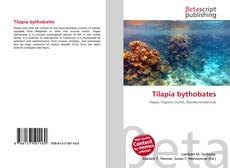 Couverture de Tilapia bythobates