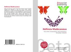 Couverture de Hellinsia Madecasseus