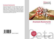 Couverture de Anastasio Bustamante