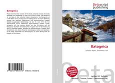 Couverture de Batognica