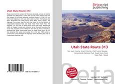Couverture de Utah State Route 313