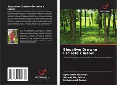 Borítókép a  Biopaliwo Drewno liściaste z lasów - hoz