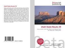 Buchcover von Utah State Route 29