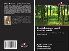 Borítókép a  Biocarburante Legni duri forestali - hoz