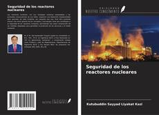 Bookcover of Seguridad de los reactores nucleares