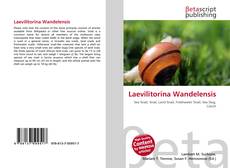 Couverture de Laevilitorina Wandelensis