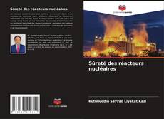 Sûreté des réacteurs nucléaires的封面