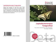 Copertina di Leptodeuterocopus Tungurahue