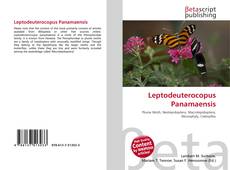 Copertina di Leptodeuterocopus Panamaensis
