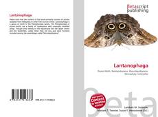 Copertina di Lantanophaga