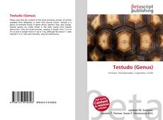 Buchcover von Testudo (Genus)