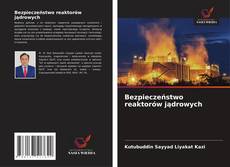 Buchcover von Bezpieczeństwo reaktorów jądrowych