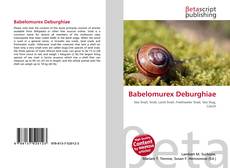 Couverture de Babelomurex Deburghiae
