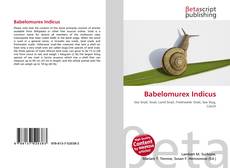 Couverture de Babelomurex Indicus