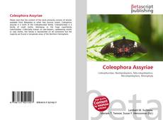 Couverture de Coleophora Assyriae