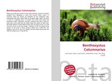 Copertina di Benthoxystus Columnarius