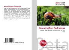 Copertina di Boreotrophon Pedroanus