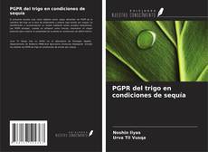 Bookcover of PGPR del trigo en condiciones de sequía