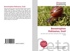 Copertina di Boreotrophon Pedroanus, Snail