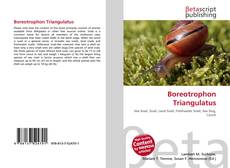 Copertina di Boreotrophon Triangulatus