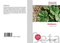 Couverture de Andipsara