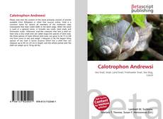 Couverture de Calotrophon Andrewsi
