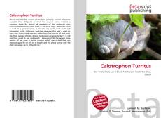 Copertina di Calotrophon Turritus