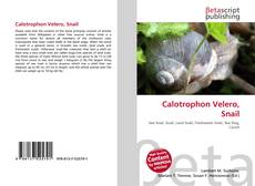 Copertina di Calotrophon Velero, Snail