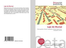 Couverture de Laje do Muriaé