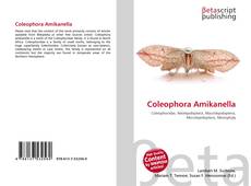 Couverture de Coleophora Amikanella