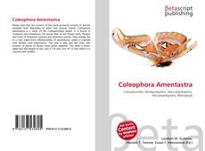Copertina di Coleophora Amentastra