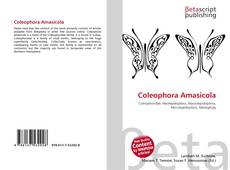 Buchcover von Coleophora Amasicola